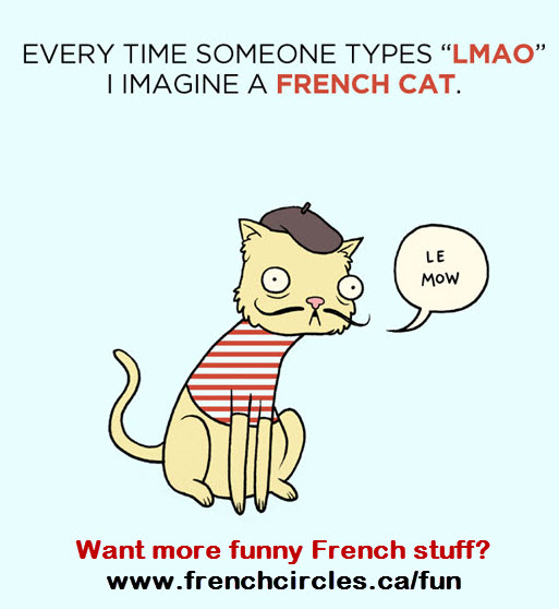 French Cat LMAO - French Circles