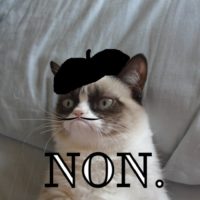 Frenchy Grumpy Cat