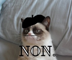 Frenchy Grumpy Cat
