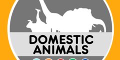 Domestic animals (words)