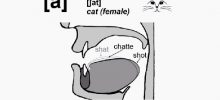 Vowels French Pronunciation