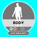 Le corps - The body - BODY