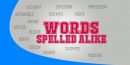 Words spelled alike