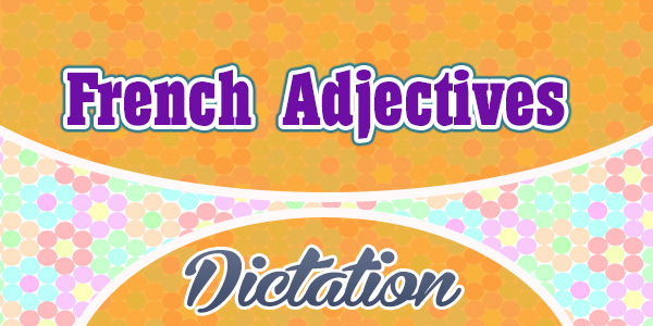 French Adjectives (Sentences)