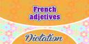 French Adjectives (Sentences)