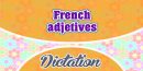 French Adjectives (Sentences)