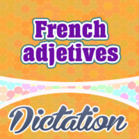 French Adjectives (Sentences)