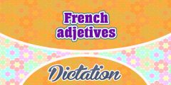 French Adjectives (Sentences)