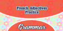 French Adjectives Practice