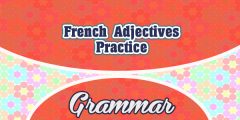 French Adjectives Practice