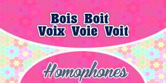 Homophones Bois Boit Voix Voie Voit