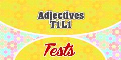 Adjectives T1L1 French test