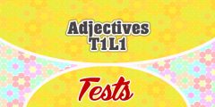 Adjectives T1 L1 French test