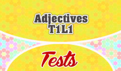 Adjectives T1L1 French test