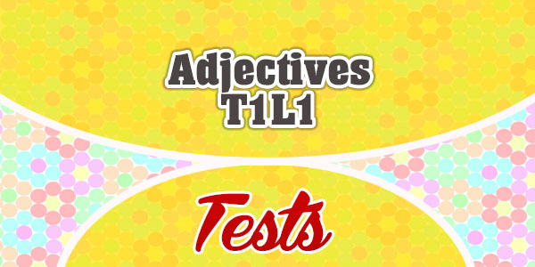 Adjectives T1L1