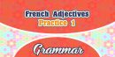 French Adjectives Practice 1