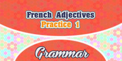 French Adjectives Practice 1