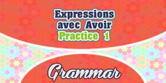 Expressions avec Avoir-practice 1