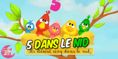 5 dans le nid