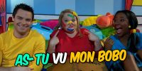 As-tu vu mon bobo