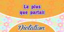 Le plus que parfait-French Dictation