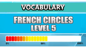 French Vocabulary Level 5