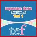 TEF Expression Écrite Section A – test 1