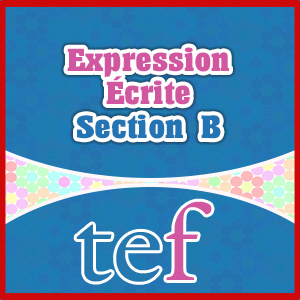 TEF Expression Écrite Section B