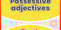 Possessive adjectives test 2