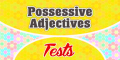 Possessive adjectives test 2