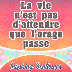 La vie n'est pas d'attendre que l'orage passe - Inspiring sentences