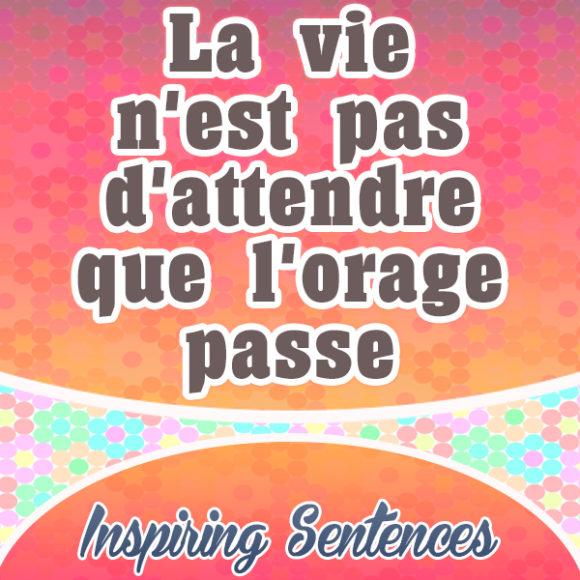 La vie n'est pas d'attendre que l'orage passe - Inspiring sentences