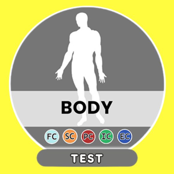 The body-French test