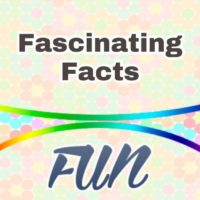Faits Fascinants