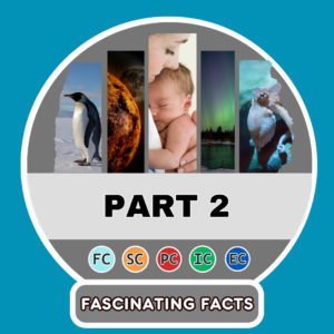 5 Faits Fascinants à Partager avec Vos Amis ! – part 2