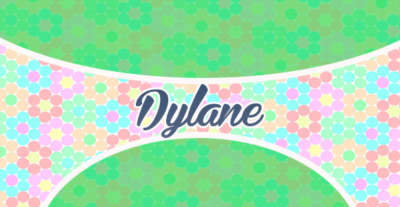Dylane - French chit