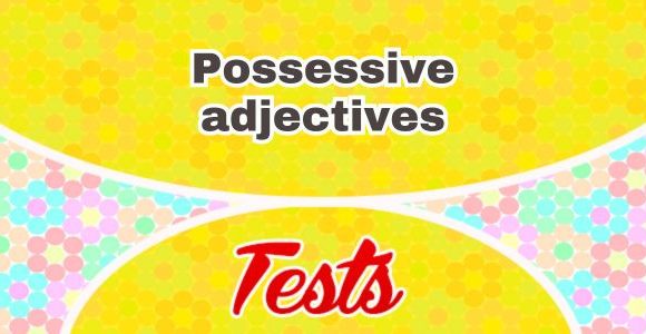 Possessive adjectives - Test