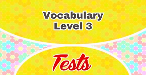 Vocabulaire Level 3 French test