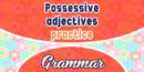 Possessive adjectives practice