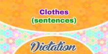 French Clothes (Sentences)