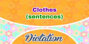 French Clothes (Sentences)