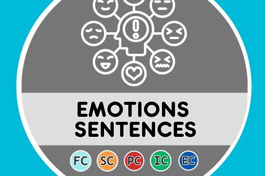 French Emotions translation sentences