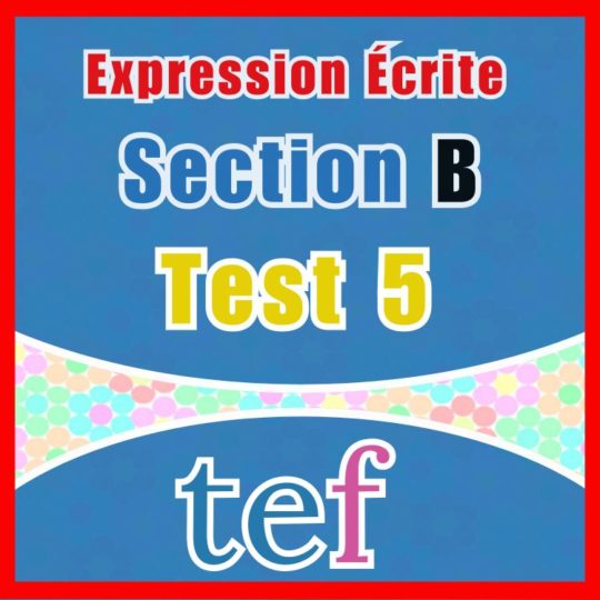 TEF Expression Écrite Section B – test 5