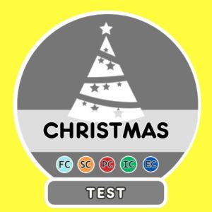 Christmas French Test