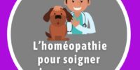L’homéopathie pour soigner les animaux