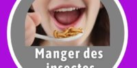Manger des insectes