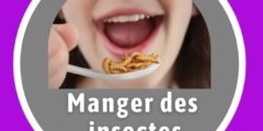 Manger des insectes
