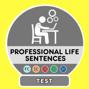 Professional life translation sentences - Test