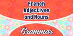 French Adjectives and Nouns