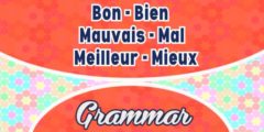 Bon / Bien / Mauvais / Mal / Meilleur / Mieux